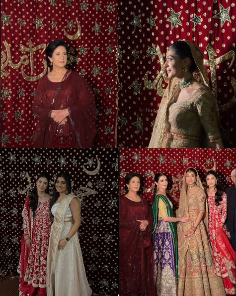Embroidered Backdrop - Velvet