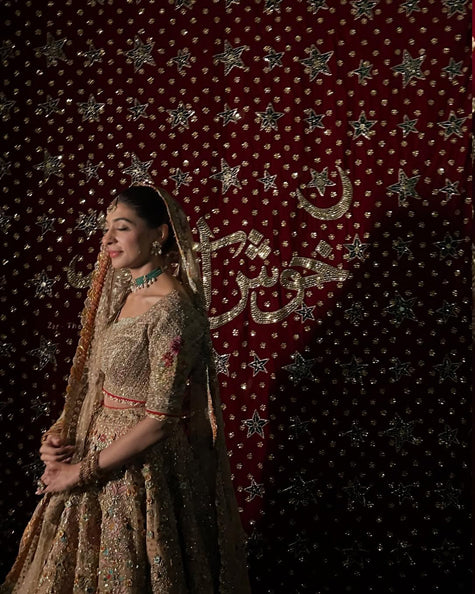Embroidered Backdrop - Velvet