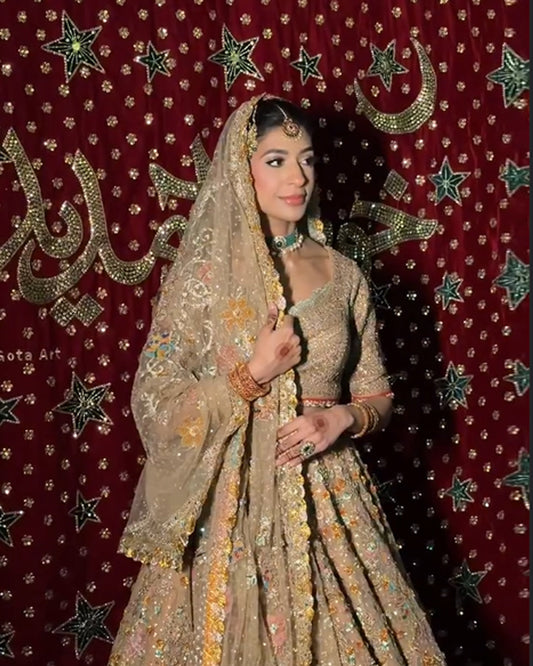 Embroidered Backdrop - Velvet